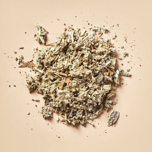 Sage - Botanical