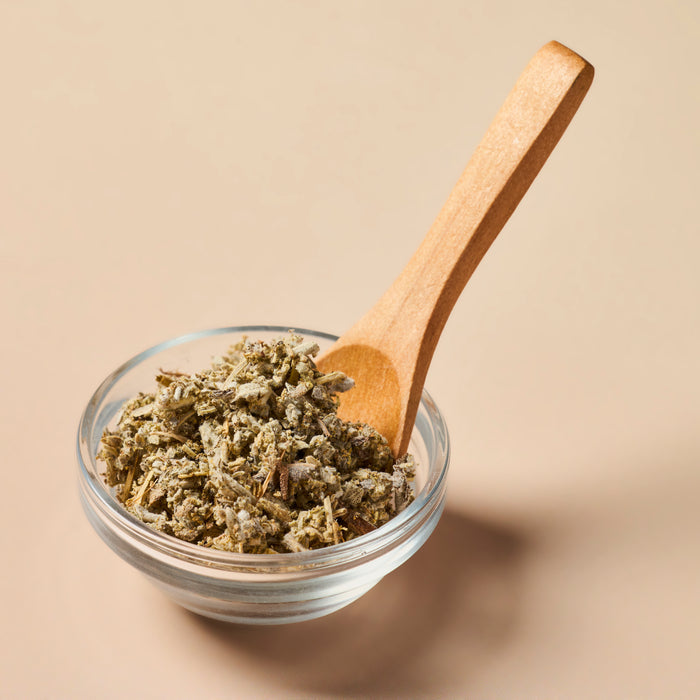 Sage - Botanical - close-up