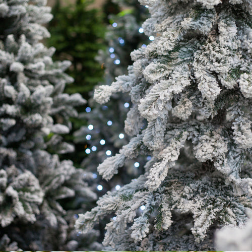 Santa's Tree Farm Fragrance Oil 529