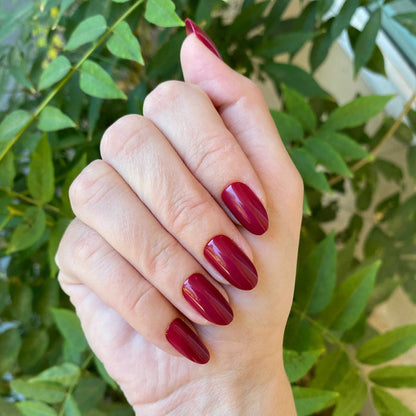 SC - Press-On | Medium | Oval hand showing medium oval false nails in deep bordeaux polish for a polished at home mani