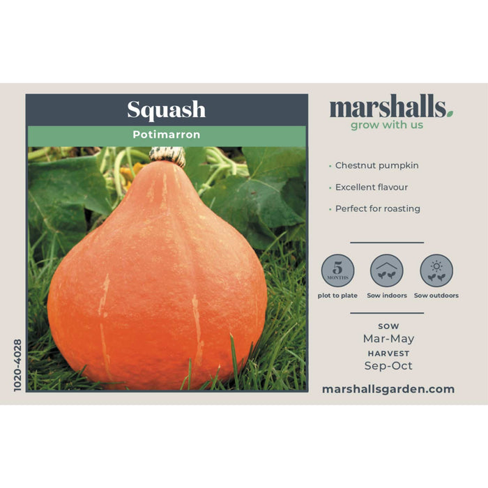 Squash Seeds  'Potimarron'