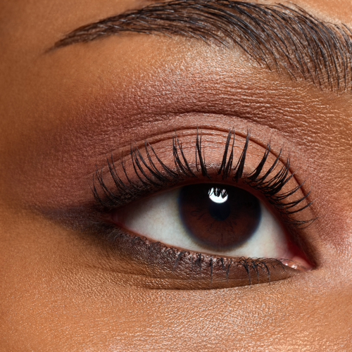 The Dark Cocoa Eyeshadow Palette