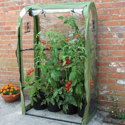 Tomato Crop-Booster Poly Cover
