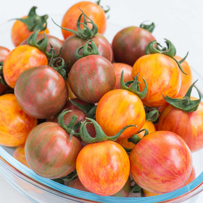 Tomato Seeds 'Bumble Bee Mix '