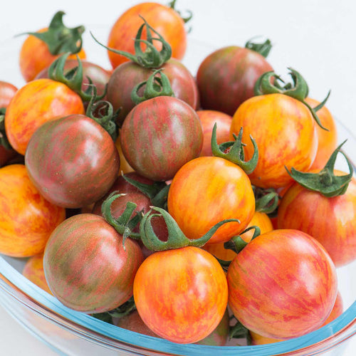 Tomato Seeds 'Bumble Bee Mix '