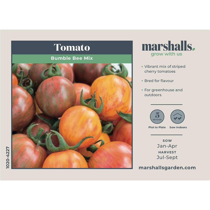 Tomato Seeds 'Bumble Bee Mix '
