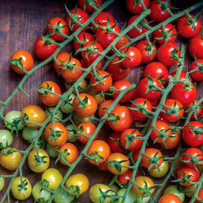 Tomato Seeds 'Cherry Baby'