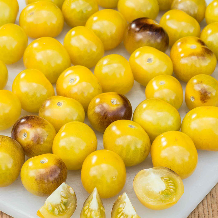 Tomato Seeds 'Gold Berries'