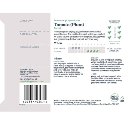 Tomato Seeds 'Sahel'