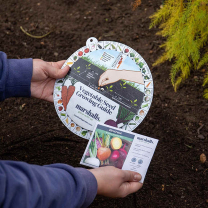 Vegetable Seed Guide Wheel