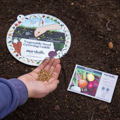 Vegetable Seed Guide Wheel