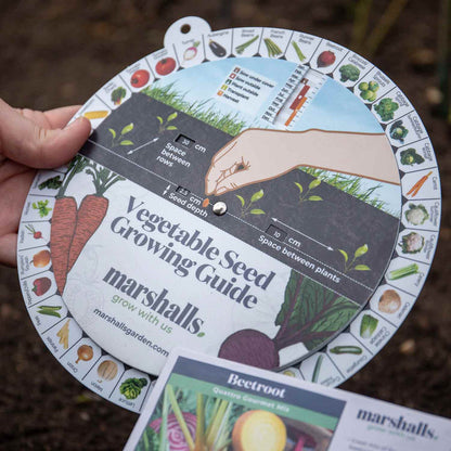 Vegetable Seed Guide Wheel