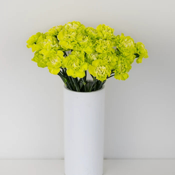 Wasabi Tinted Bulk Carnations Vase - Image