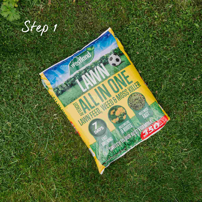 Westland Lawn Care 3-Step Repair Kit