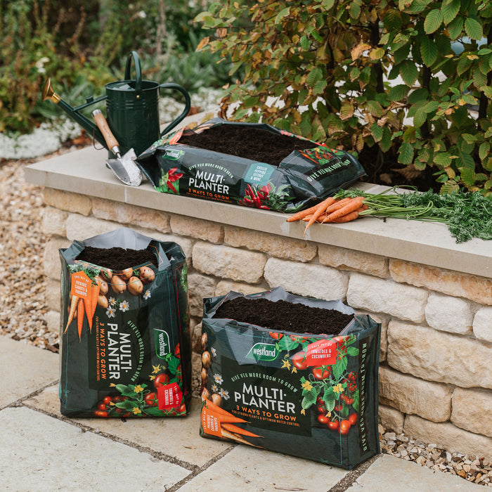 Westland Peat Free Multi-Planter Medium