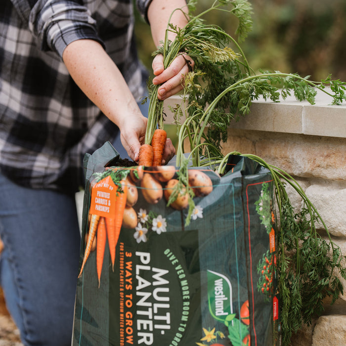 Westland Peat Free Multi-Planter Medium