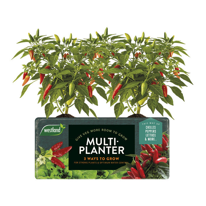 Westland Peat Free Multi-Planter Medium