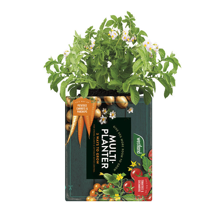 Westland Peat Free Multi-Planter Medium