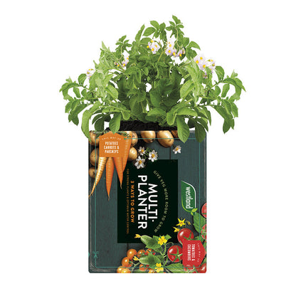 Westland Peat Free Multi-Planter Medium