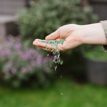 Westland PureGeen Lawn Seed