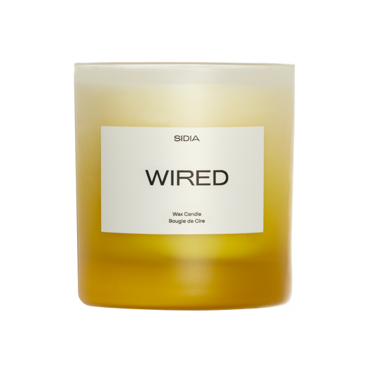 SIDIA-Wired Candle-Home-HCCD00FGO-WR19-hero_2c164d2e-94ce-4844-91ee-f40640f79143-The Detox Market |
