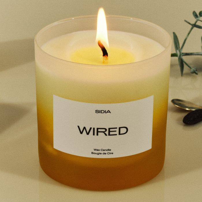 SIDIA-Wired Candle-Home-HCCD00FGO-WR19-av-5-The Detox Market |