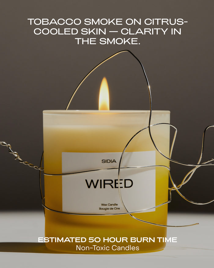 SIDIA-Wired Candle-Home-HCCD00FGO-WR19-av-2_9fd6c323-ba9e-4eaf-85fa-26b38a6a5e95-The Detox Market |