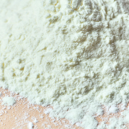 Yogurt Powder - close-up